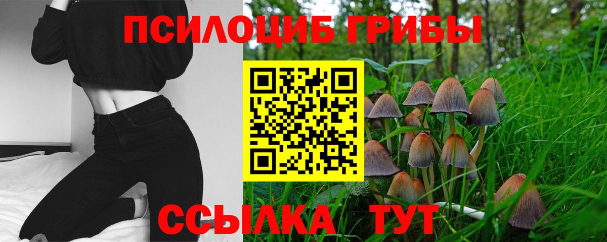 Галлюциногенные грибы Magic Shrooms  Вход с VPN  Галлюциногенные грибы MAGIC MUSHROOMS  Кунгур 